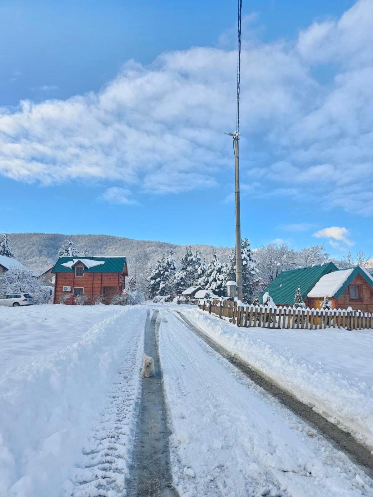 Konaci Oceva Zemlja Bungalovi Konaci Oceva Zemlja Vikendica Mojkovac Exterior foto